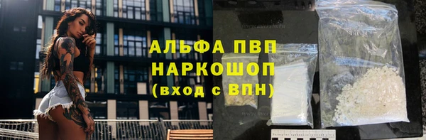 прущие грибы Верхний Тагил