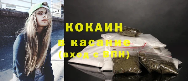 прущие грибы Верхний Тагил