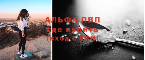 прущие грибы Верхний Тагил
