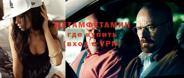 прущие грибы Верхний Тагил