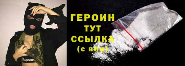 прущие грибы Верхний Тагил