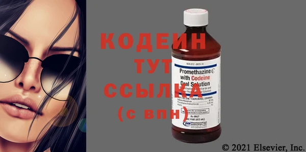 прущие грибы Верхний Тагил