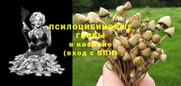 прущие грибы Верхний Тагил