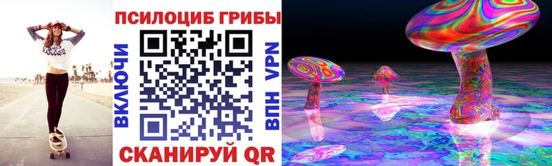 Псилоцибиновые грибы Psilocybe  Купить закладки  Володарск 